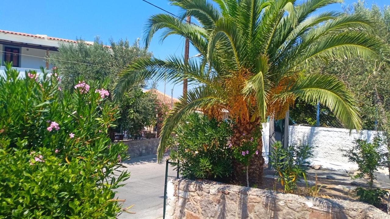 אפרטהוטל אנאקסוס Anessis Cosmos מראה חיצוני תמונה