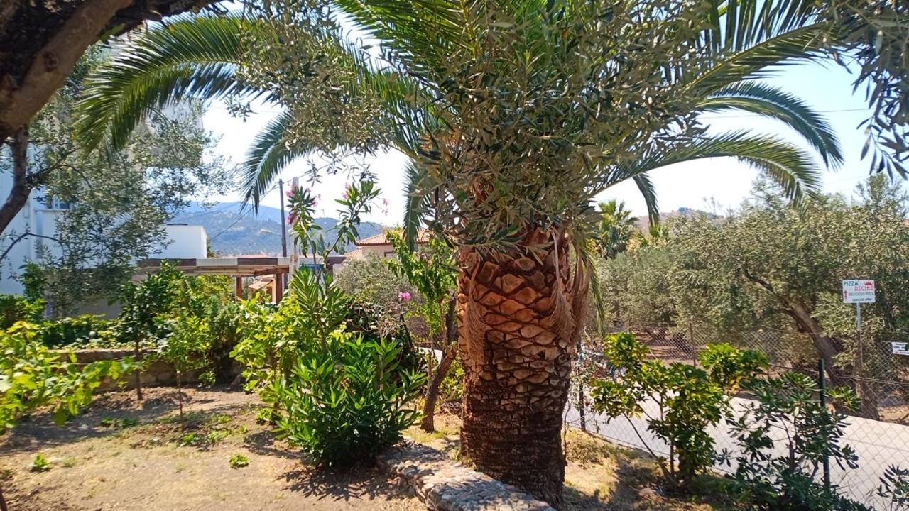 אפרטהוטל אנאקסוס Anessis Cosmos מראה חיצוני תמונה