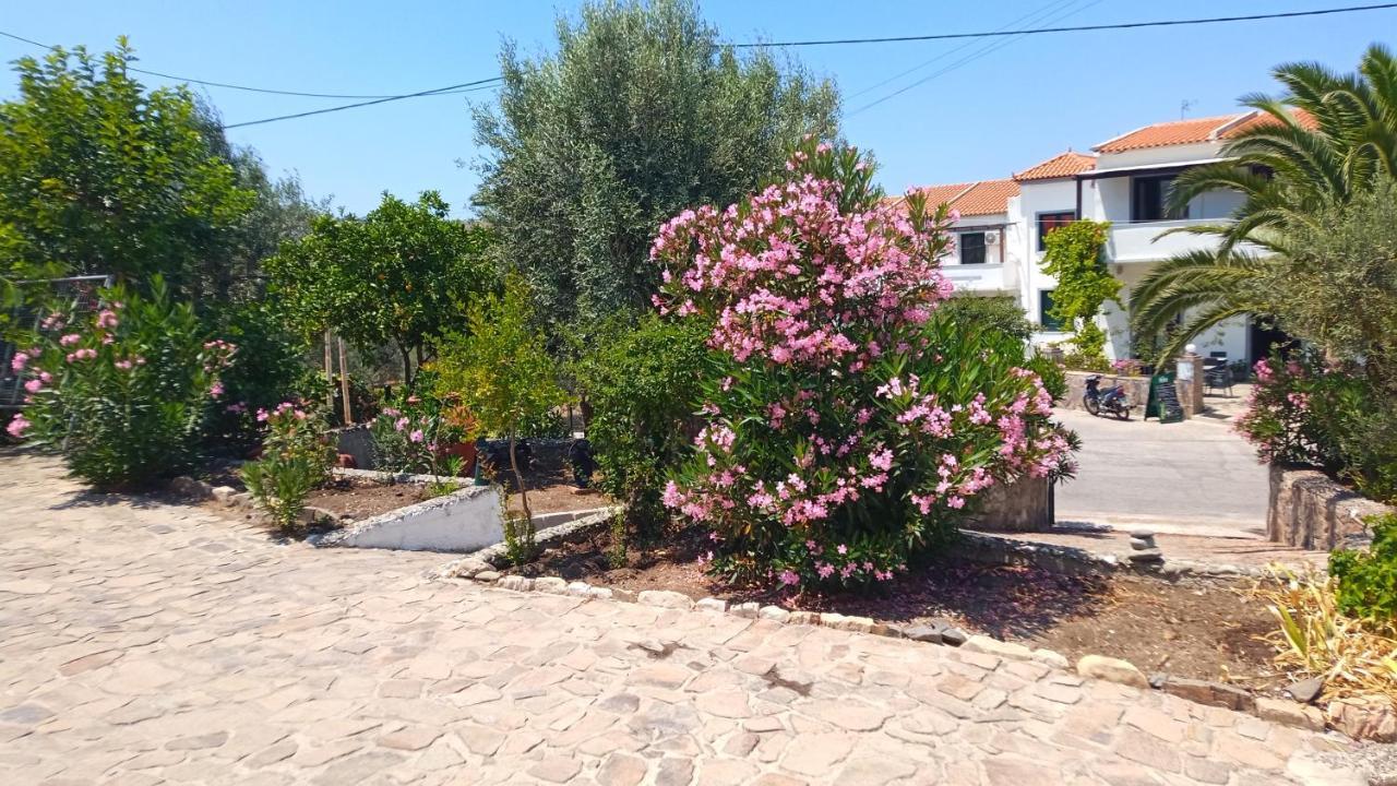 אפרטהוטל אנאקסוס Anessis Cosmos מראה חיצוני תמונה